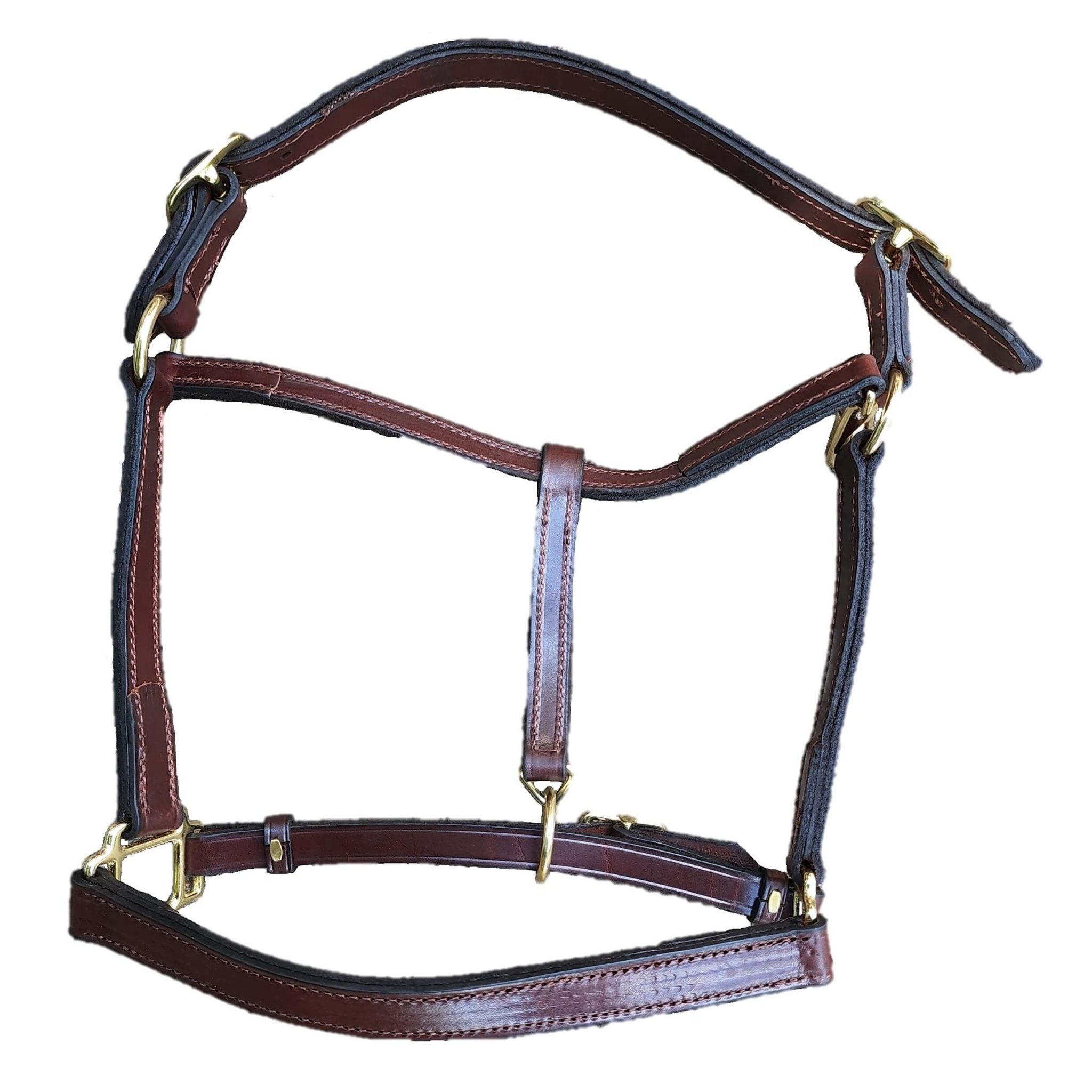 1" wide leather Horse Halter with Brass Hardware ⋆ Saddles N Such SMC