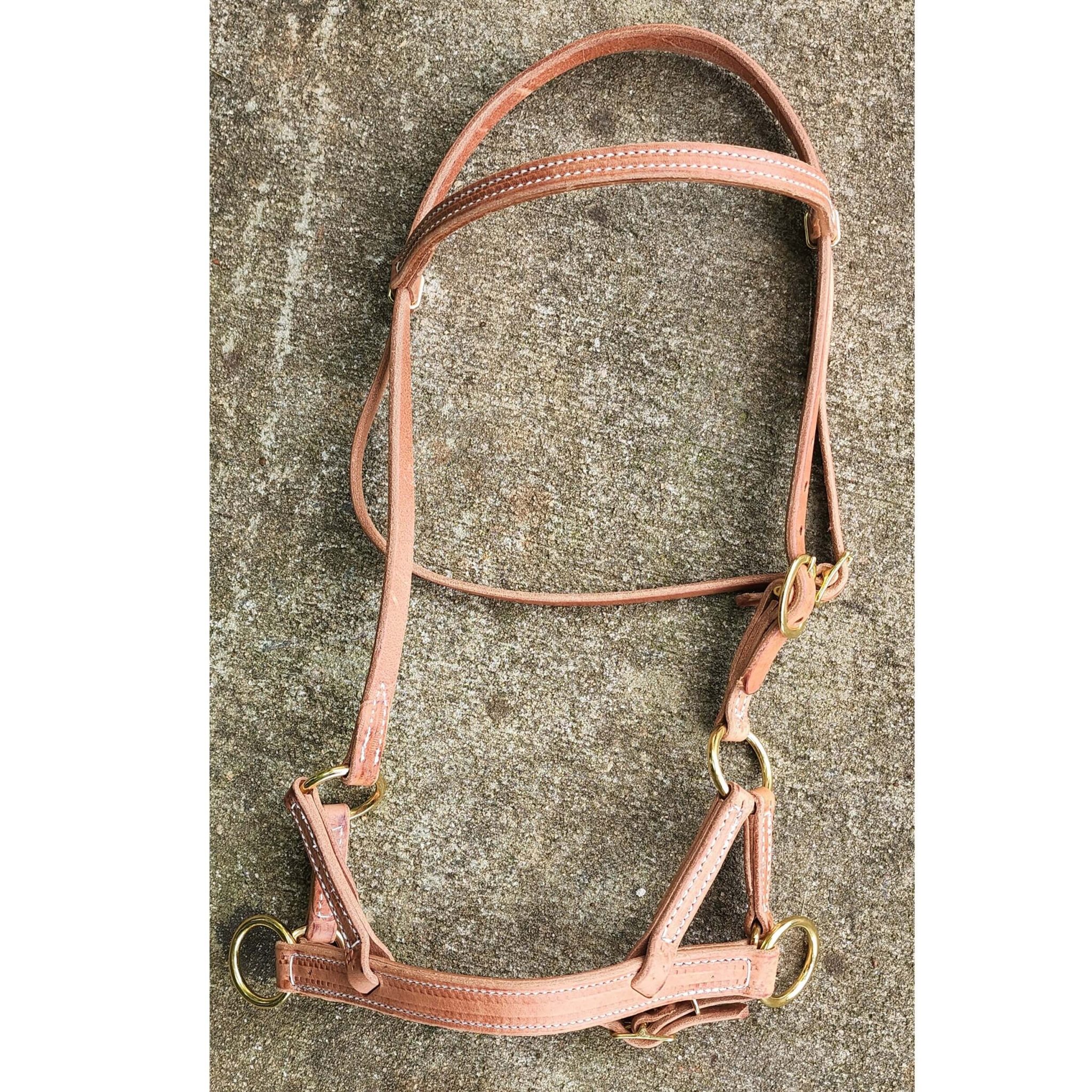 Saddles N Such Show Me Contry Home